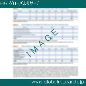 グローバルリサーチ調査レポートのイメージ